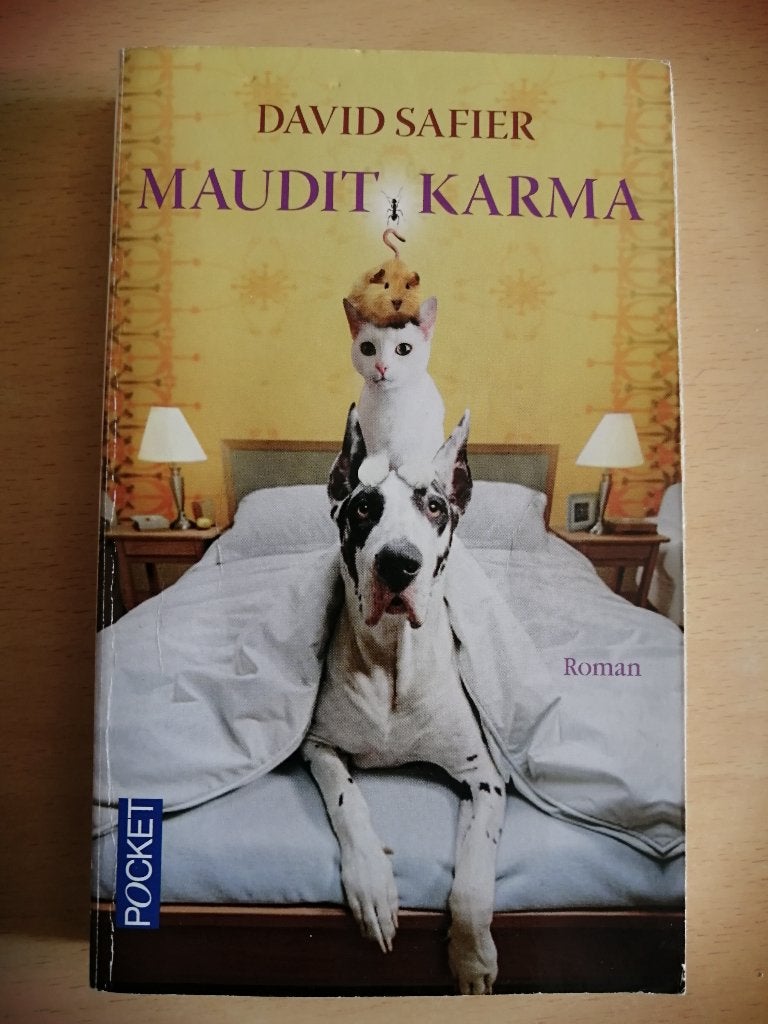 Maudit karma de David Safier, Livres, Enlèvement ou Envoi