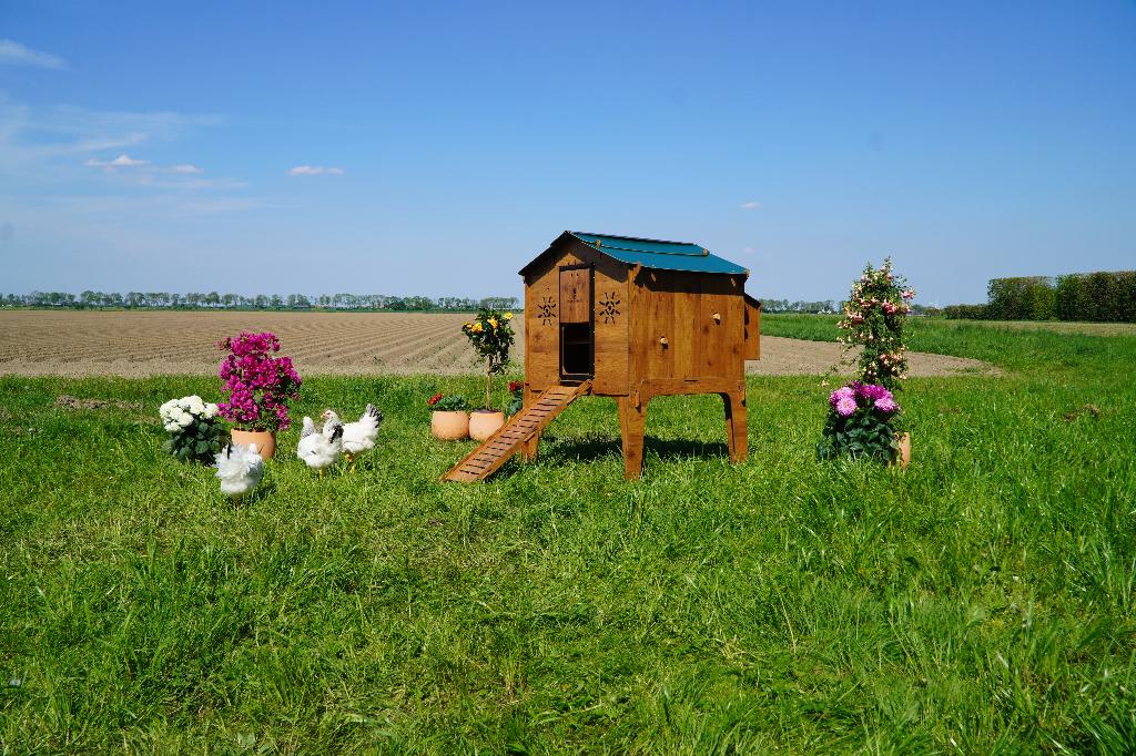 Trespa Kippenhok Cucciolotta | Duplex L, Ophalen of Verzenden