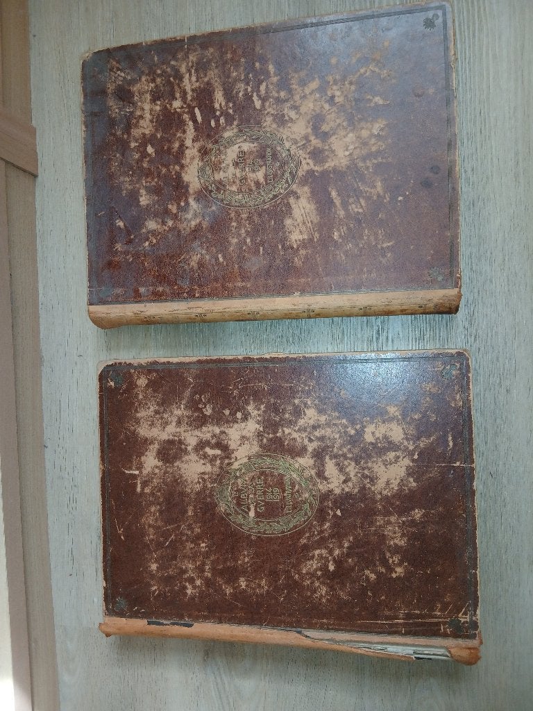 L'Album de la Guerre 1914-1918-1919 twee boeken, Enlèvement