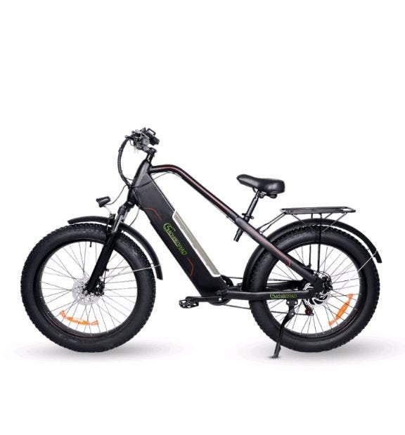 Fatbike E. Sachsenrad R12., Fietsen en Brommers, Elektrische fietsen, Ophalen, Nieuw
