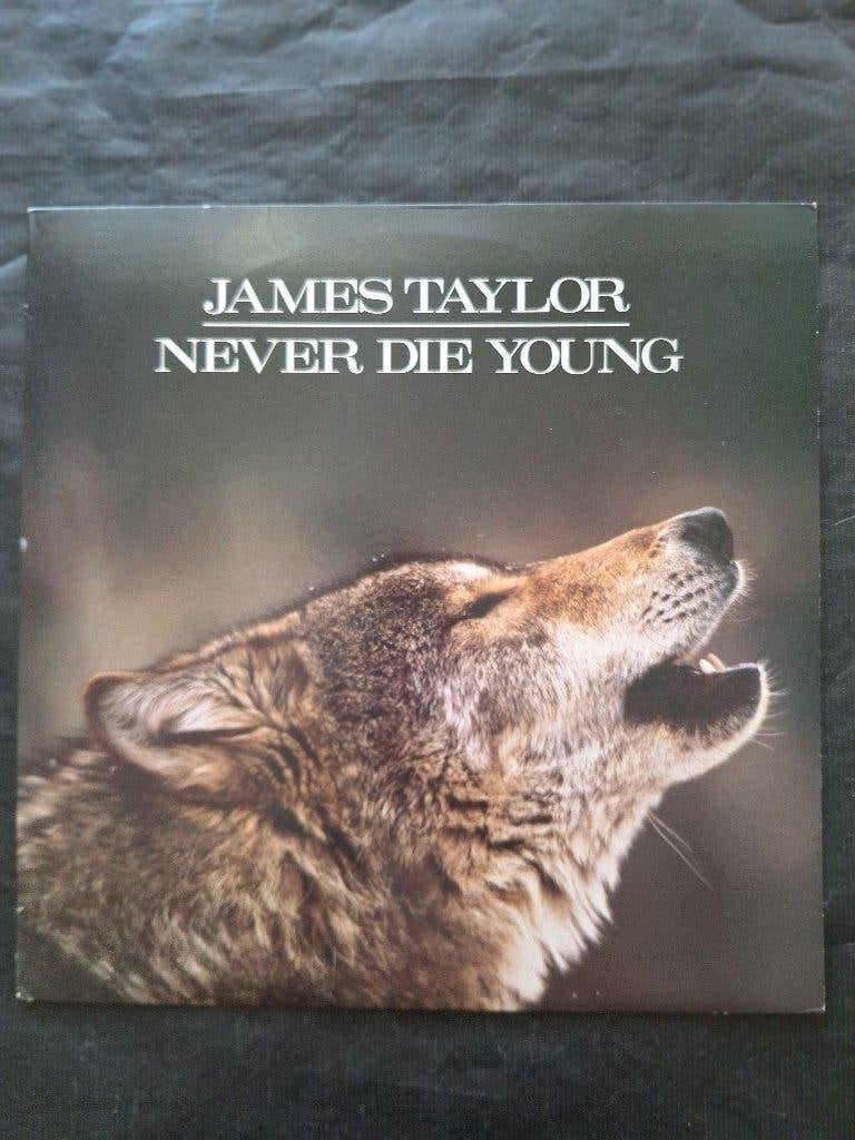 JAMES TAYLOR "Never Die Young" folkrock LP (1988) Topstaat!, LP, Ophalen of Verzenden, Zo goed als nieuw, 12 inch