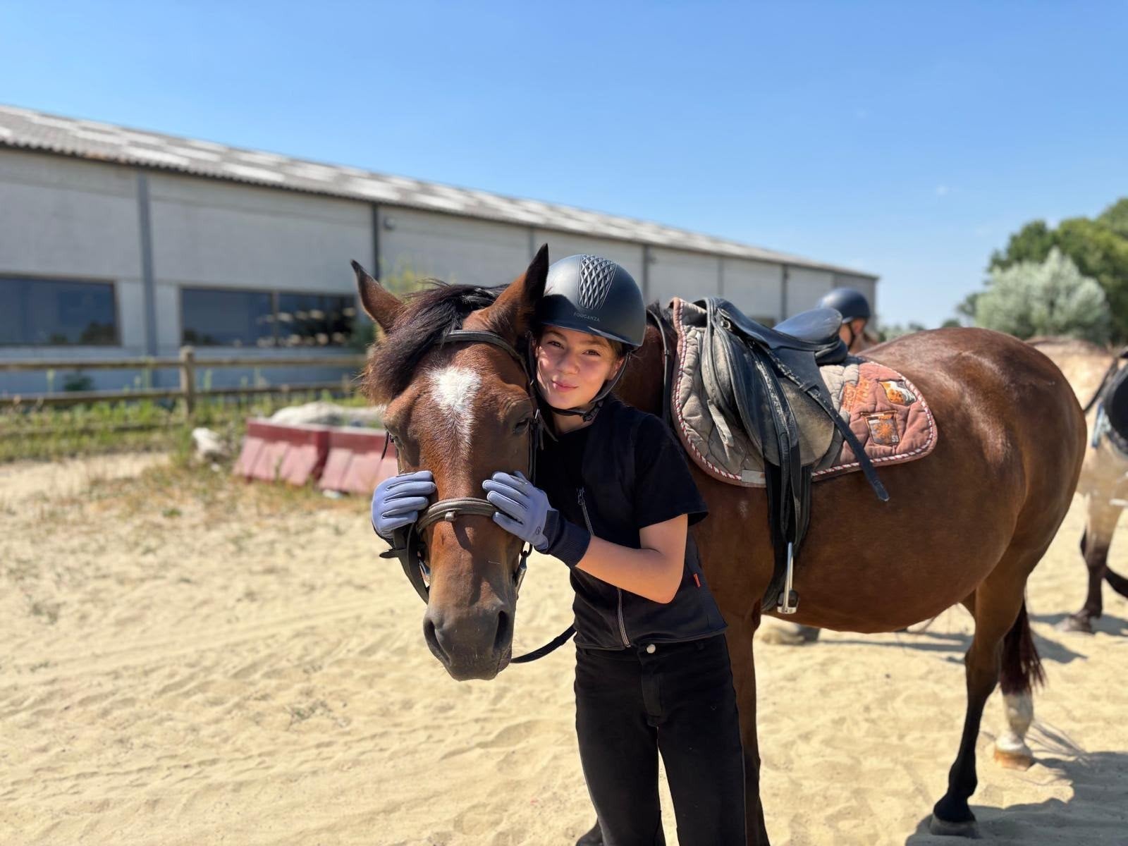 verzorgpony/ paard GEZOCHT !, Meerdere dieren, Niet van toepassing
