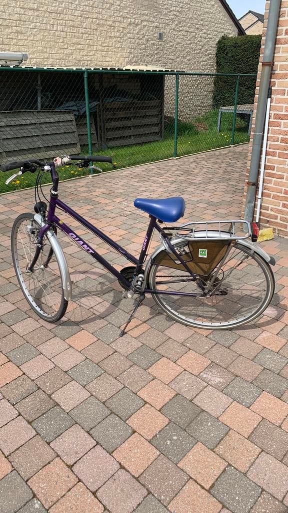 Fiets damesfiets voor studenten, Vélos & Vélomoteurs, Vélos | Femmes | Vélos de sport & de randonnée, 53 à 56 cm, Giant, Enlèvement