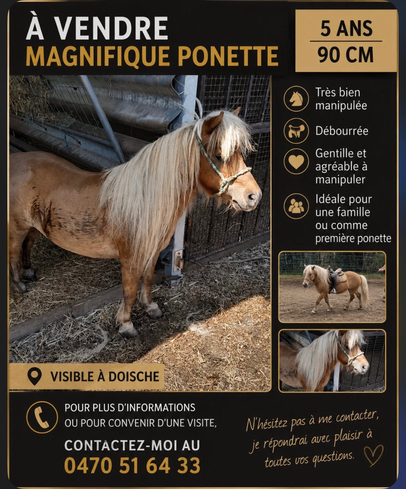 Jument a vendre, Animaux & Accessoires, Enlèvement