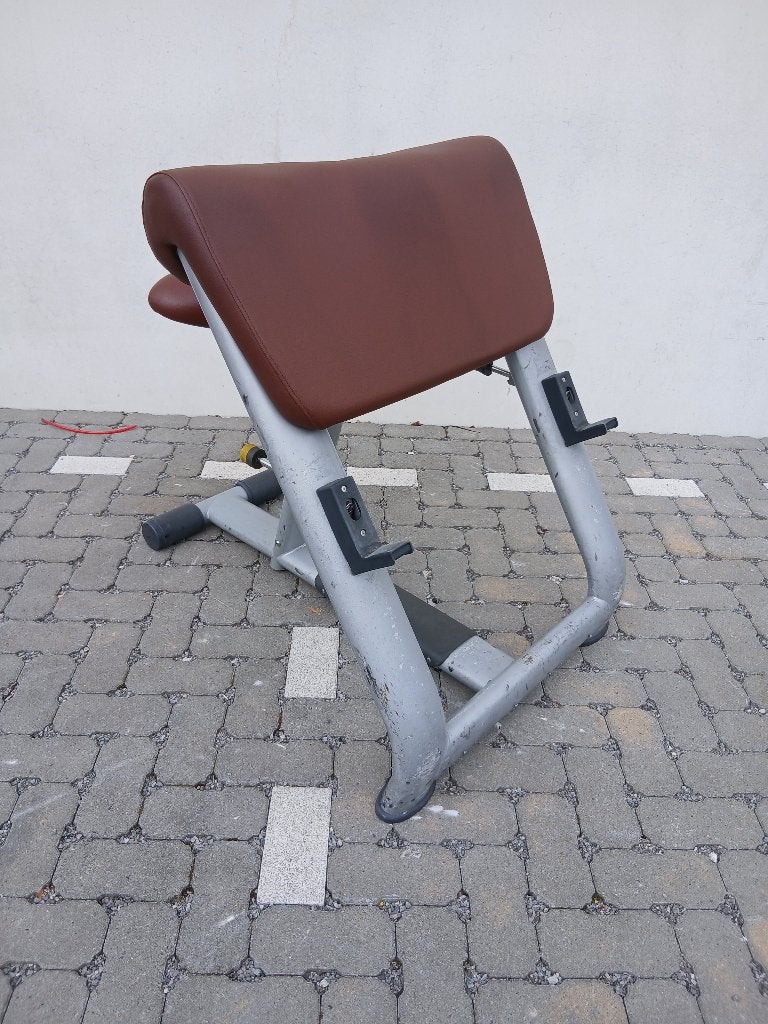 Technogym Selection Scott curl bankje, Sports & Fitness, Enlèvement, Utilisé, Bras, Banc d'exercice