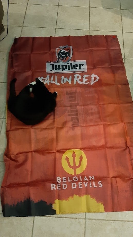 Rode Duivels vlaggen/capes nieuw All in red Jupiler, Groter dan maat XL, Ophalen of Verzenden, Nieuw, Overige typen
