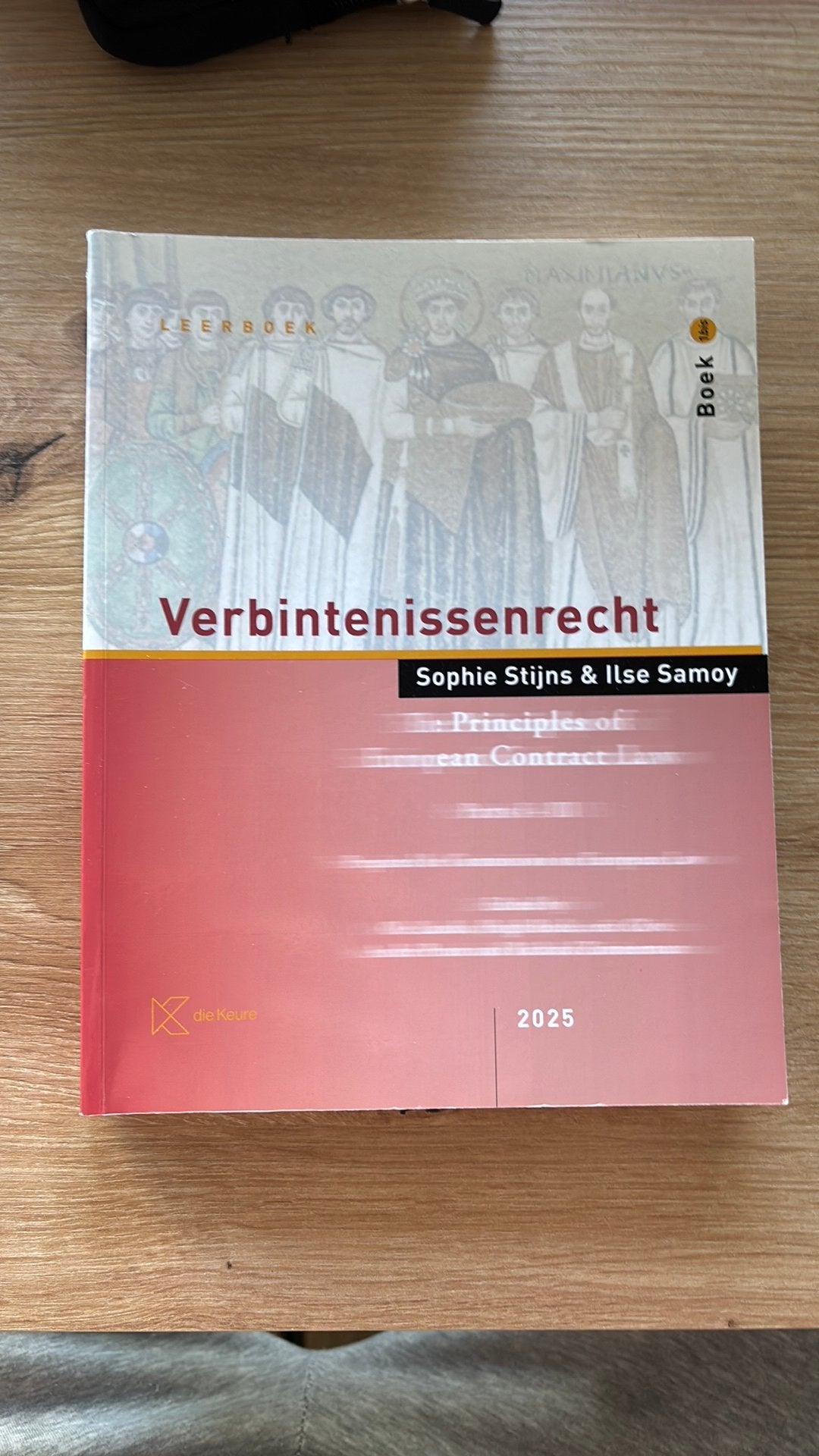 Boek 1bis Verbintenissenrecht Stijns, Boeken, Ophalen of Verzenden, Gelezen