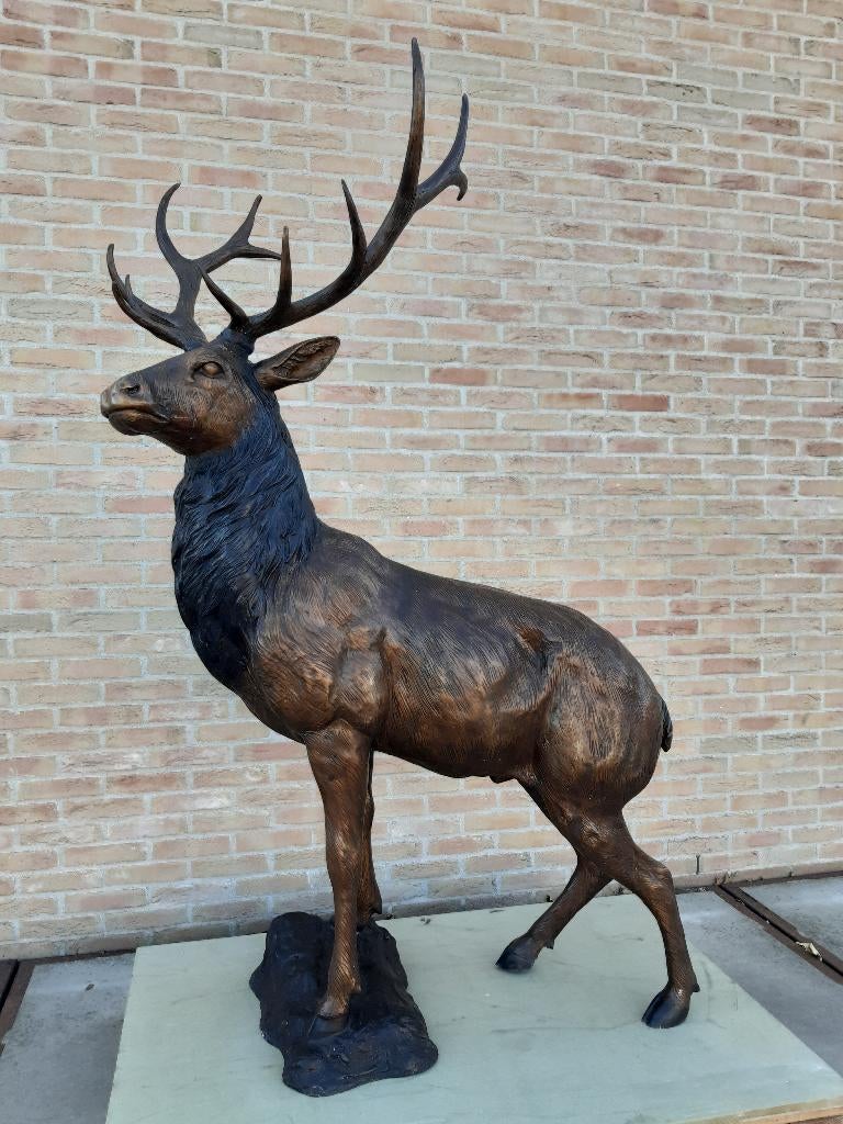 GROOT BRONZEN PRACHTIG HERT AAN LAGE VERKOOPPRIJS lees aub!!, Enlèvement ou Envoi, Neuf, Autres matériaux, Animal