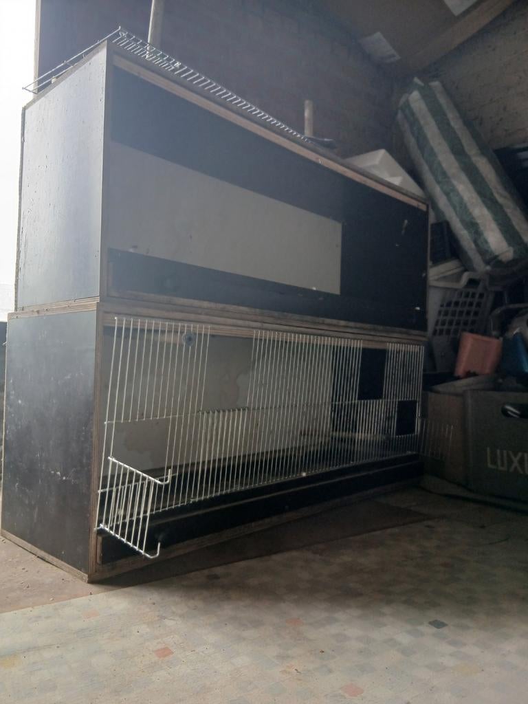 Lot 2 cages avec 2 valises de transport pour oiseaux, Ophalen, Hout