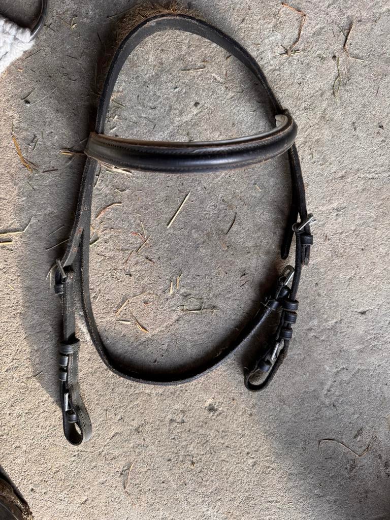 Shetlander hoofdstel, Enlèvement ou Envoi