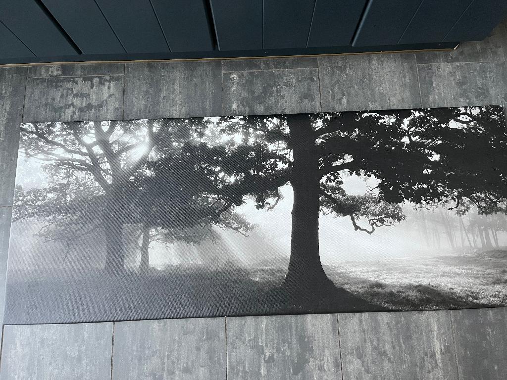 Canvas, Enlèvement, Utilisé, Peinture