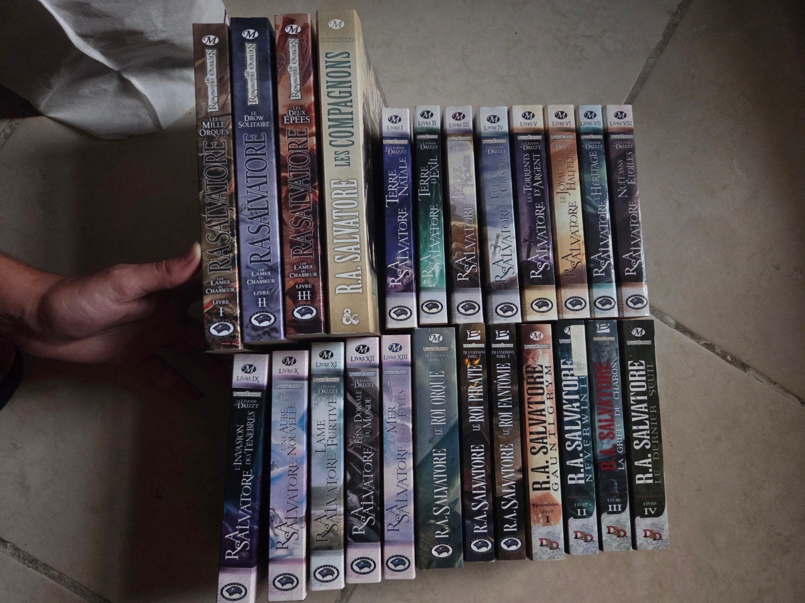 Collection 24 tomes La Légende de Drizzt, Livres, Enlèvement ou Envoi