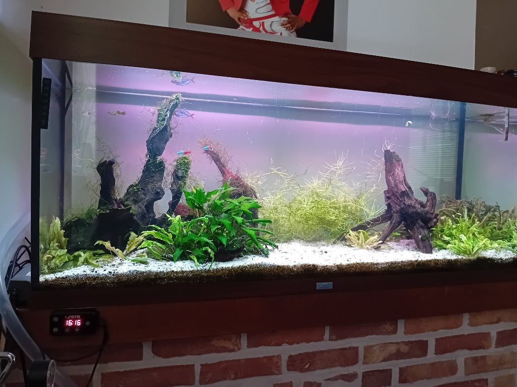 Prachtig compleet Juwel aquarium te koop!, Dieren en Toebehoren, Ophalen, Overige typen, Zo goed als nieuw, Inclusief controller