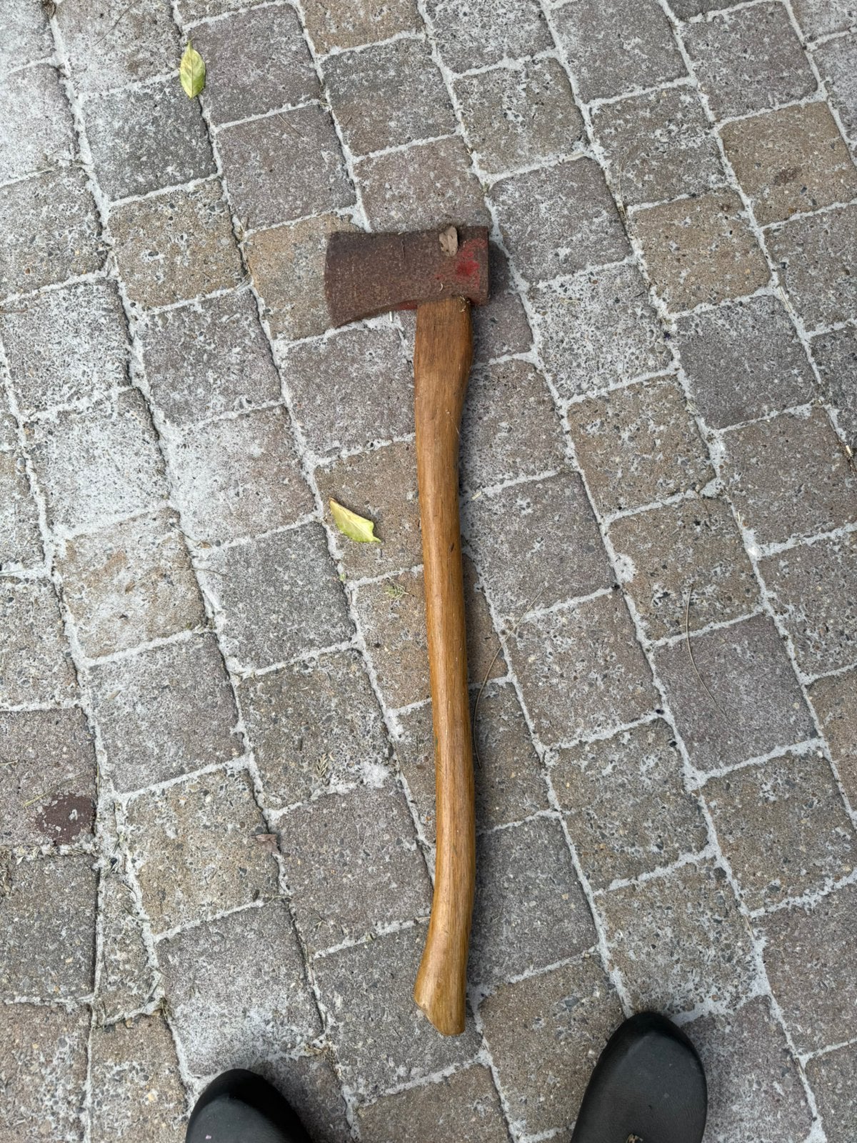 Bijl, Tuin en Terras, Hand-tuingereedschap, Ophalen of Verzenden, Gebruikt, Bijl