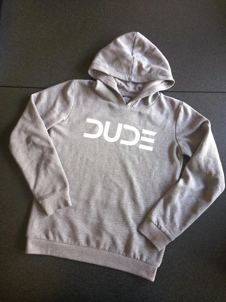 Hoodie - maat 164, Gebruikt, Trui of Vest, Ophalen of Verzenden, Jongen