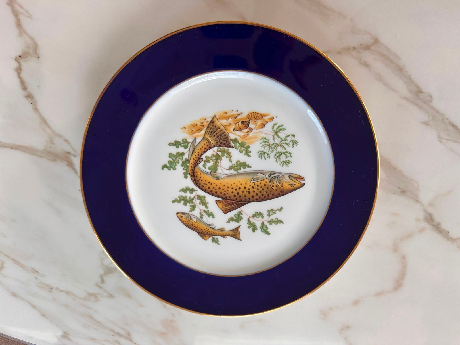 Ensemble complet de 12 assiettes à dîner en porcelaine, Enlèvement