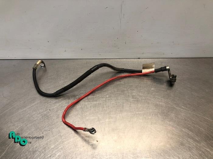 Borne de batterie d'un Seat Leon (Leon 09-), -, -, 3 mois de garantie, Utilisé