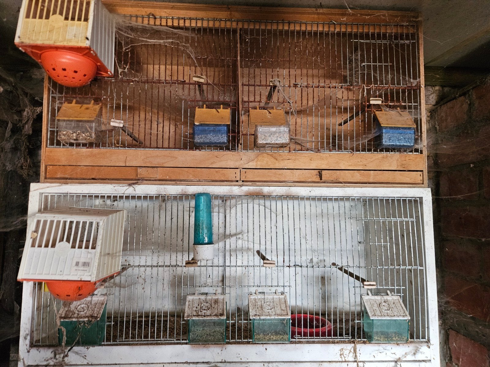 Cage d élevage, Animaux & Accessoires, Enlèvement