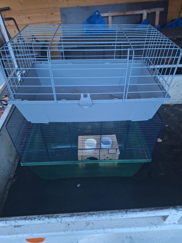 Kooien, Dieren en Toebehoren, Ophalen of Verzenden, Kooi, Cavia