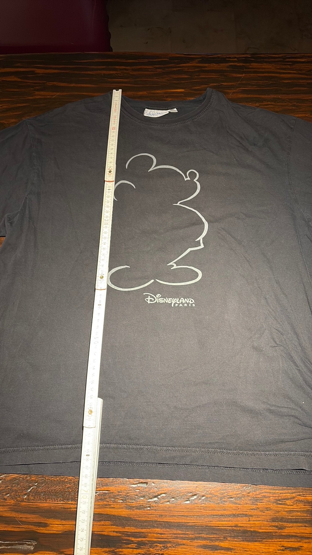 T-shirt Disneyland Paris, Ophalen of Verzenden, Mickey Mouse, Gebruikt, Kleding of Textiel