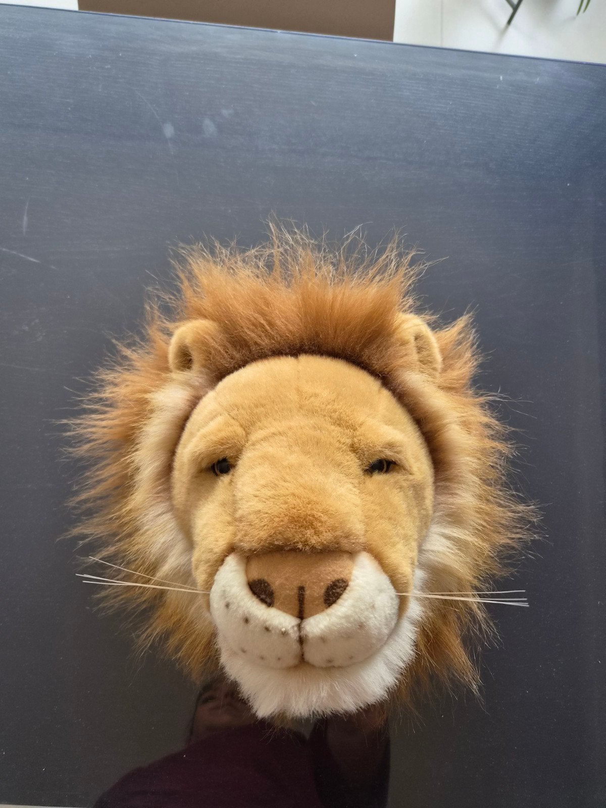 Dierenkoppen, Ophalen, Zo goed als nieuw