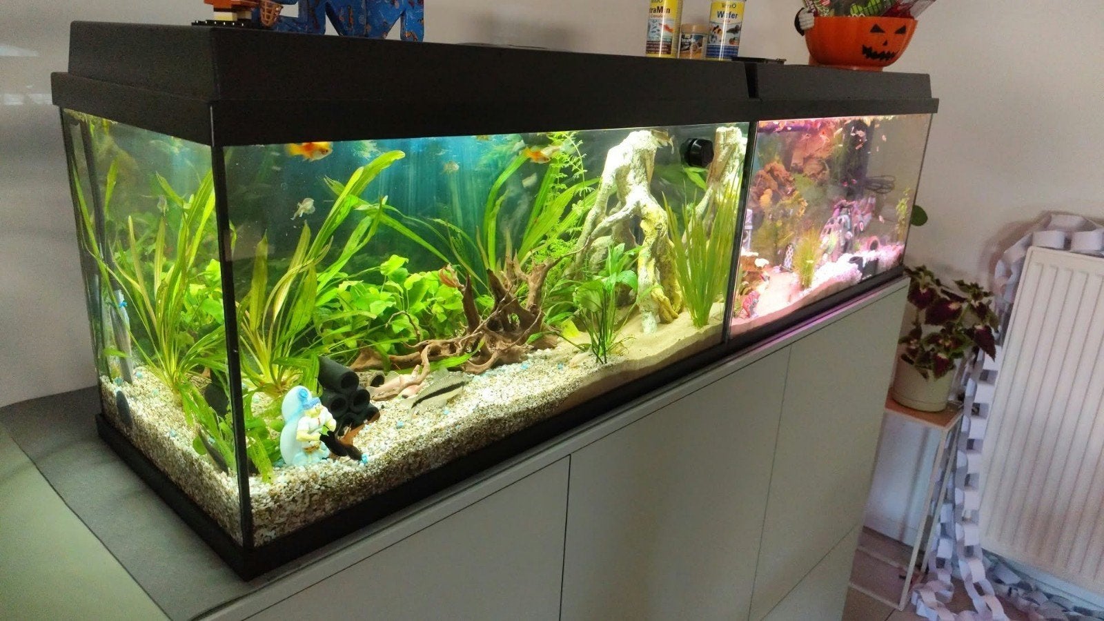 2 x juwel 1 primolux 1 duolux, Dieren en Toebehoren, Ophalen, Zo goed als nieuw, JBL