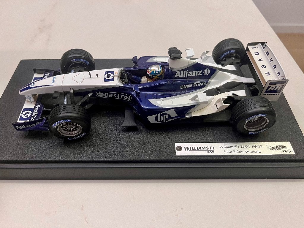 Hot Wheels Williams F1 BMW FW25 – Juan Pablo Montoya 1/18,, Enlèvement, Utilisé, Hot Wheels