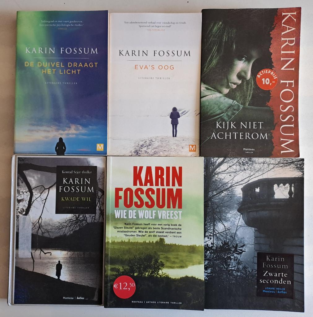 Boeken Karin Fossum, Boeken, Ophalen of Verzenden, Gelezen