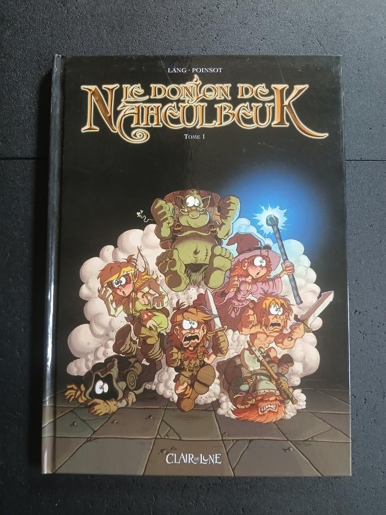 Bd le donjon de naheulbeuk 1, Boeken, Stripverhalen, Ophalen of Verzenden