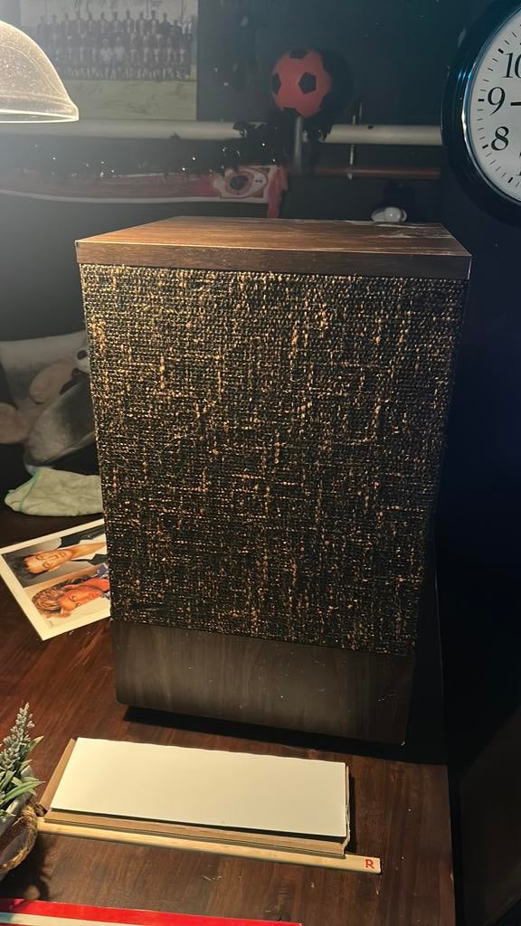 Luidsprekers vintage vermoedelijk Bose, TV, Hi-fi & Vidéo, Enceintes, Enlèvement, Utilisé, Haut-parleurs Frontaux, Arrière ou Stéréo