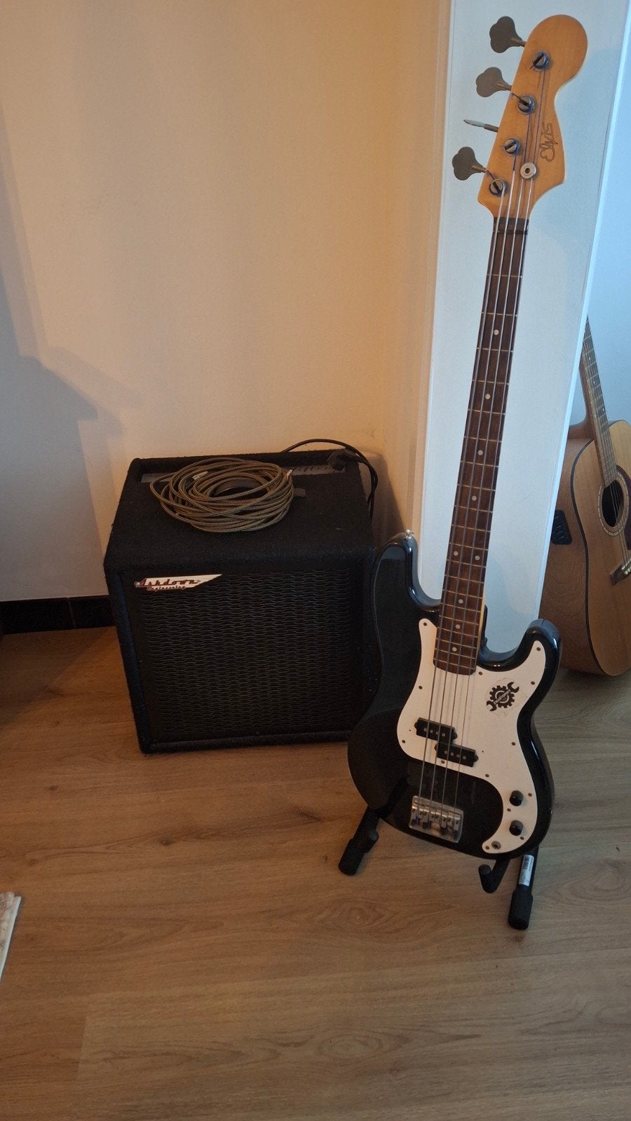 Basic basversterker Ashdown + basgitaar Elvis🤪 met koffer, Musique & Instruments, Amplis | Basse & Guitare, Enlèvement, Utilisé