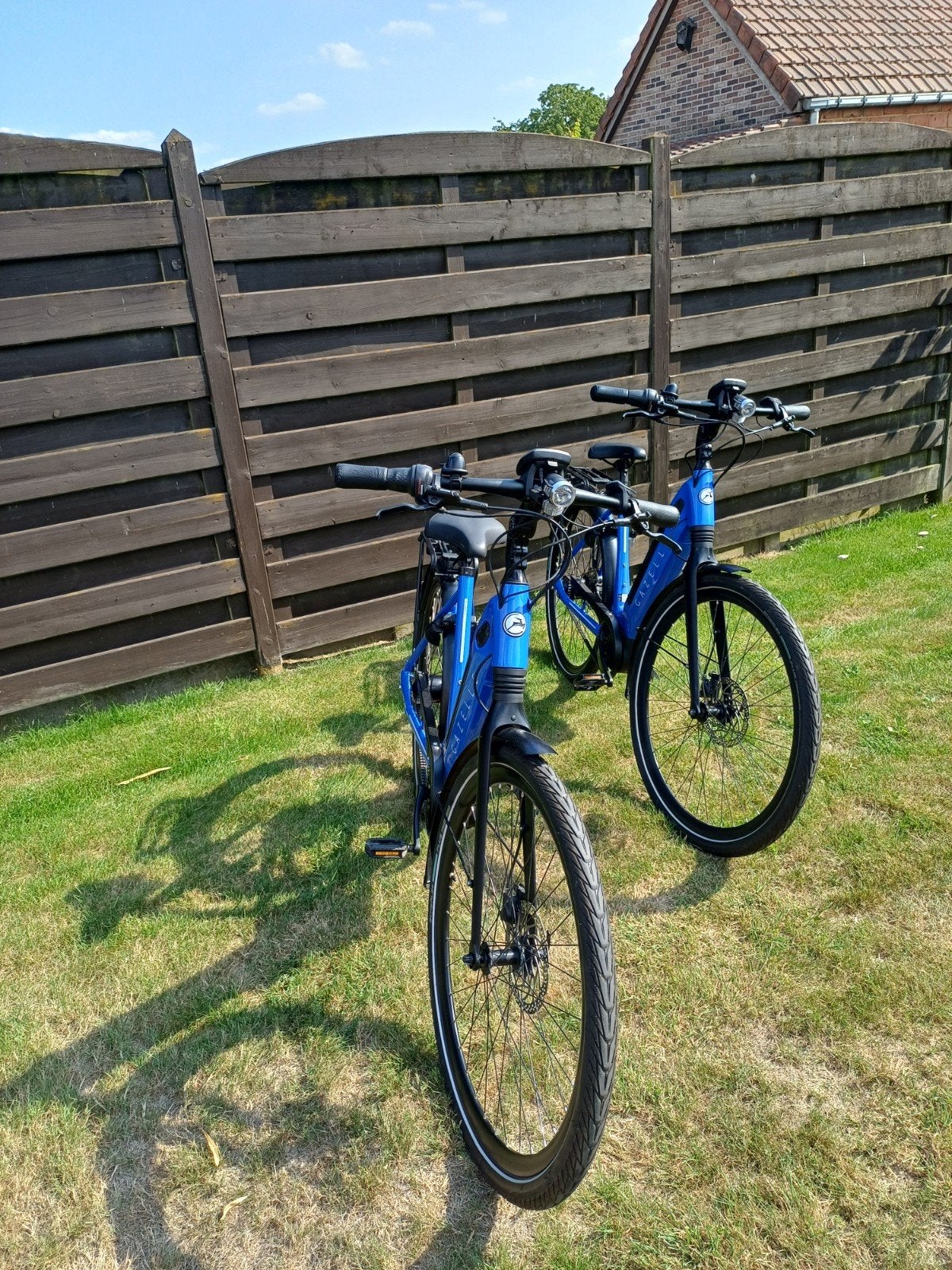 E bike gazelle ultimate c8 + intube 500watt belt hmb bosch, Enlèvement, Gazelle