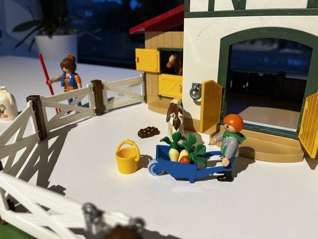 PLAYMOBIL 6927 – Ponyboerderij / Ponypark, Kinderen en Baby's, Ophalen, Complete set, Zo goed als nieuw, Country