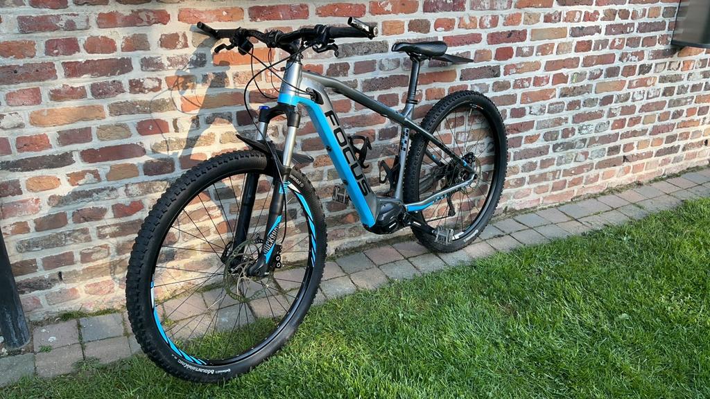 Focus bold limed edite 29”, Gebruikt, Hardtail, Heren, Schijfrem