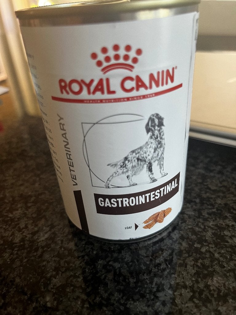 Royal canin veterinary gastrointestinal loaf natvoer hond, Enlèvement, Chien