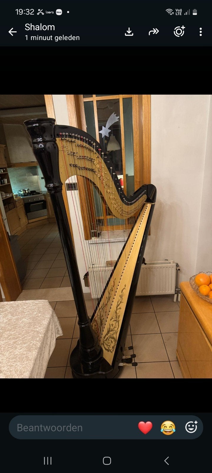 Harpe à pédales Camac Athéna à 47 cordes — noire

Magnifique, Enlèvement, Comme neuf