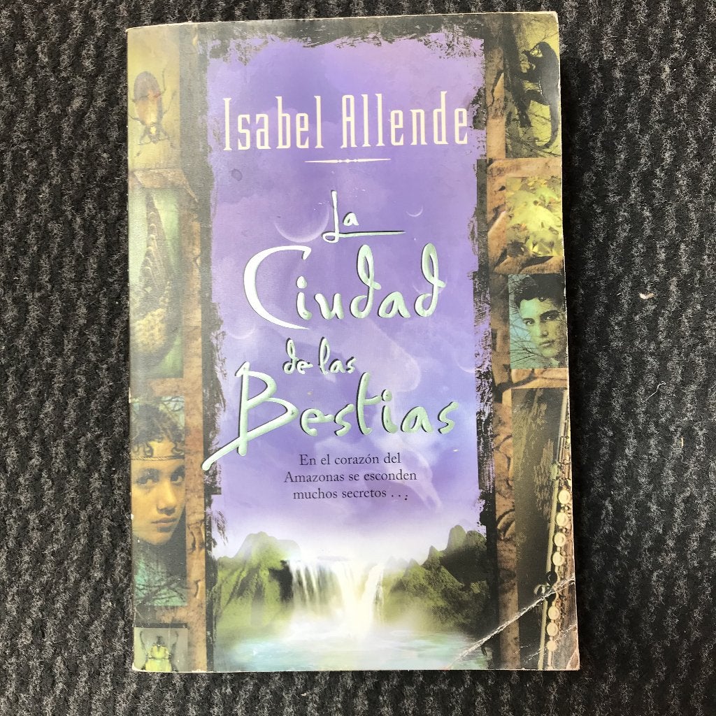 Livre en espagnol de Isabel Allende, Boeken, Ophalen