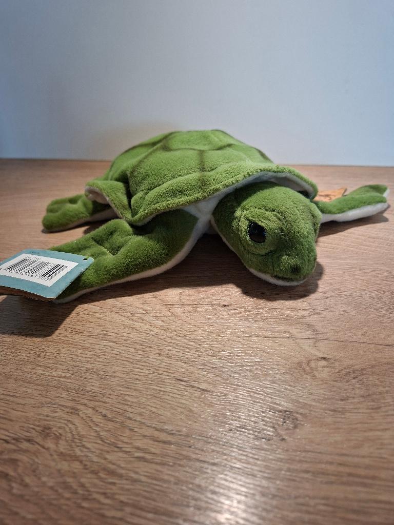 Knuffel schildpad, Groen, Overige merken, Overige karakters, Overige typen