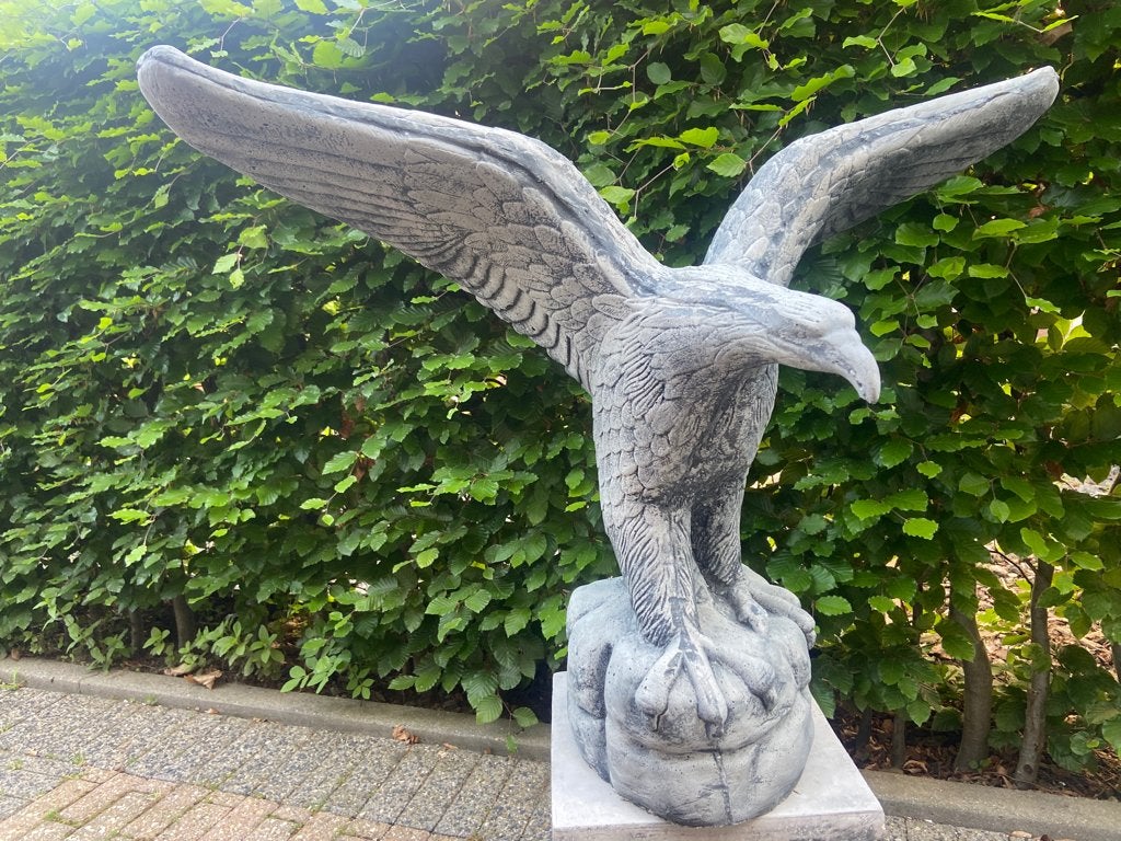 Aigle : 90 x 70 cm, Enlèvement