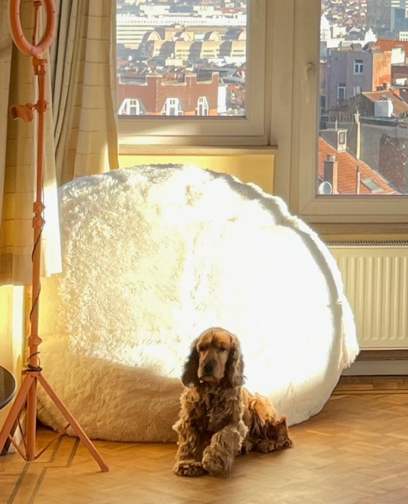 Pouf géant, Enlèvement, Comme neuf, Blanc, Pouf