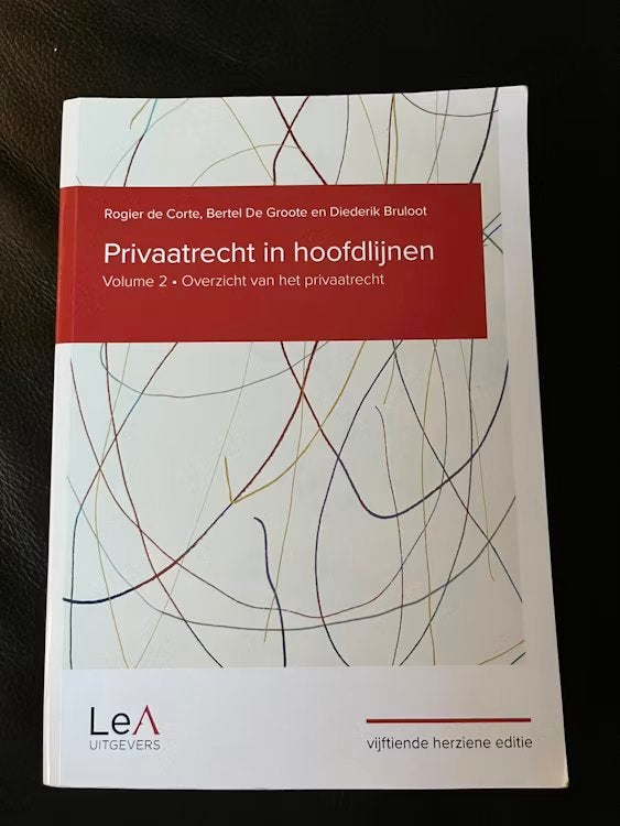 Rogier de Corte - Privaatrecht in hoofdlijnen 15de editie, Boeken, Ophalen of Verzenden, Rogier de Corte; Bertel De Groote; Diederik Bruloot
