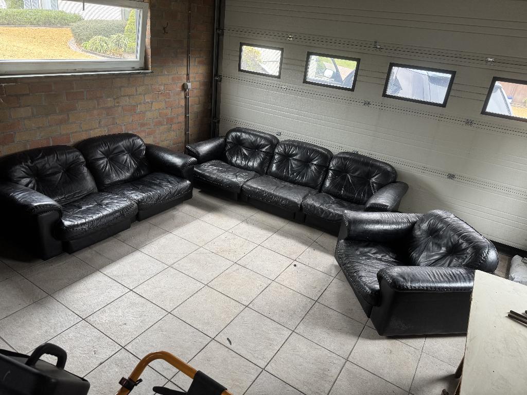 De Sede DS- 101 salon (3-zit, 2-zit en 1-zit), Ophalen, Leer