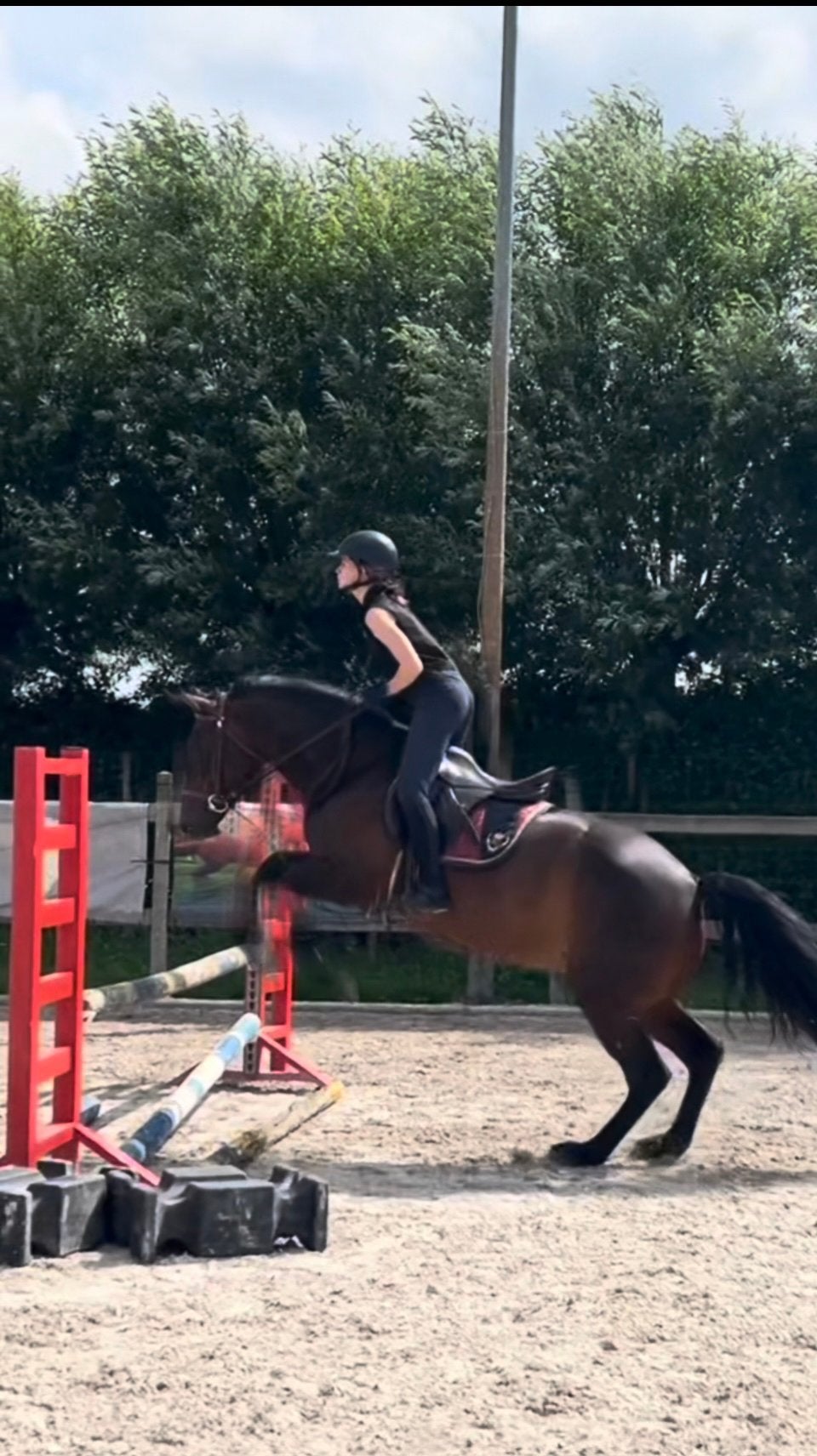 Verzorgpaard gezocht, Animaux & Accessoires, Chevaux