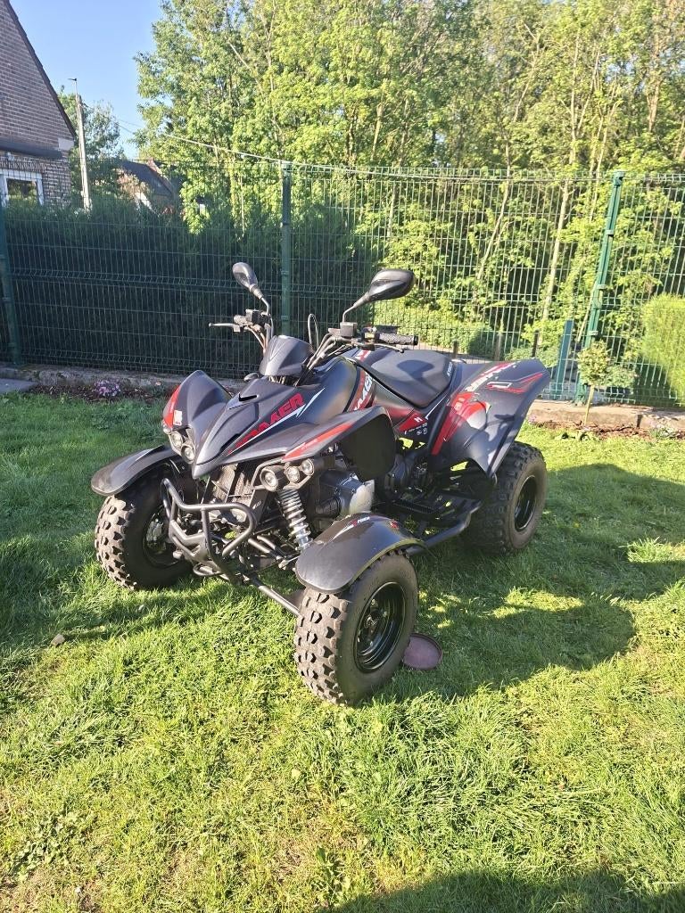 Quad Kymco Maxxer 300, Motoren, 300 cc