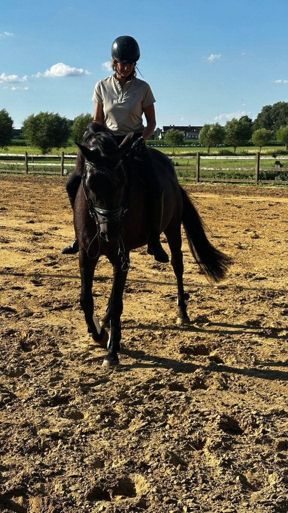 Dressuurpaard met potentieel, Dieren en Toebehoren, Merrie, Met stamboom, B, Dressuurpaard