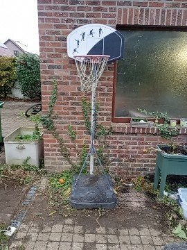 basketbalring, Sports & Fitness, Enlèvement