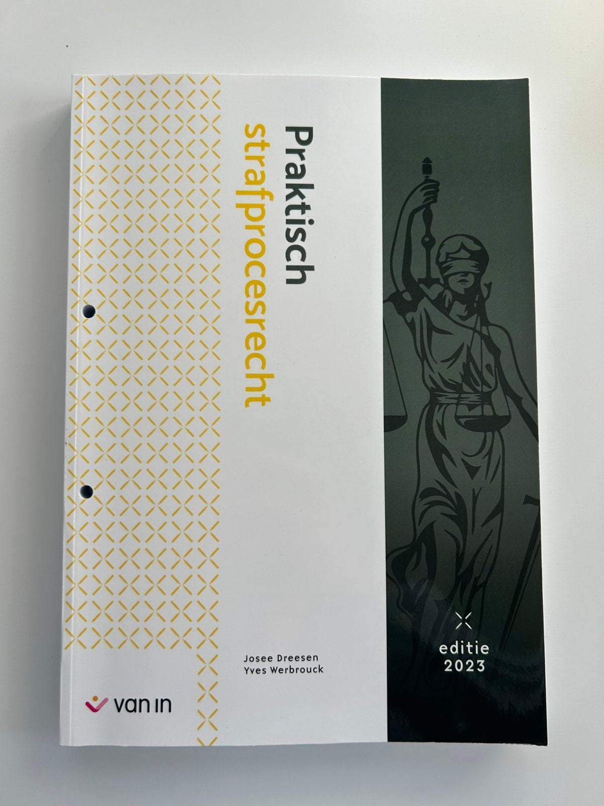 Praktisch Strafprocesrecht @ HoGent Rechtspraktijk, Boeken, Ophalen of Verzenden, Nieuw, Hogeschool
