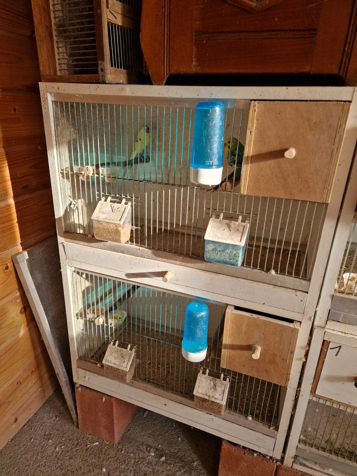 kweek kooi, Dieren en Toebehoren, Vogels | Hokken en Kooien, Ophalen of Verzenden