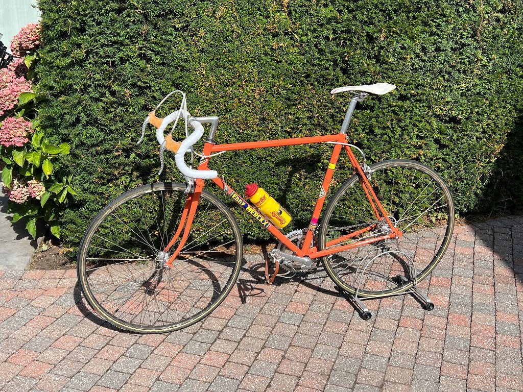 Koersfiets, Minder dan 10 versnellingen, Staal, Nieuw, 53 tot 57 cm