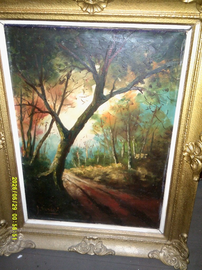 Tableau signé (nom peintre pas très lisible) sur toile, Enlèvement, Signé, Paysage, Toile